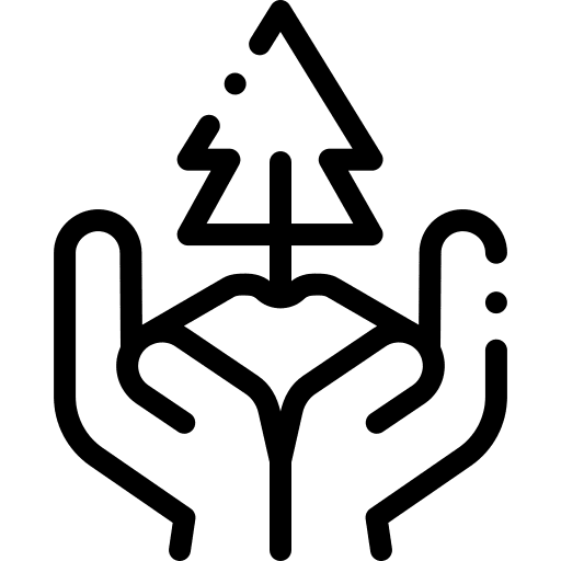 Plant plant forest tree icon