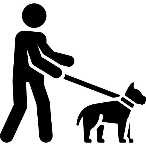 Blind blind disabled pet icon