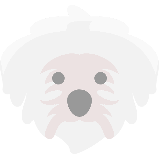 Dog animals dogs mammals icon