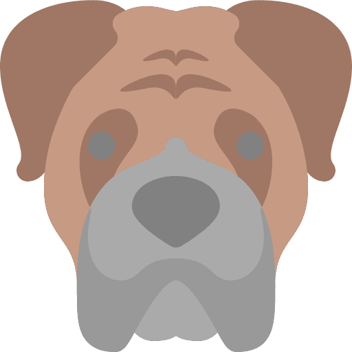 Dog dog boxer animals icon