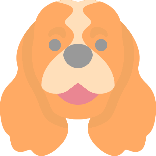 Dog mammals dog cocker spaniel icon
