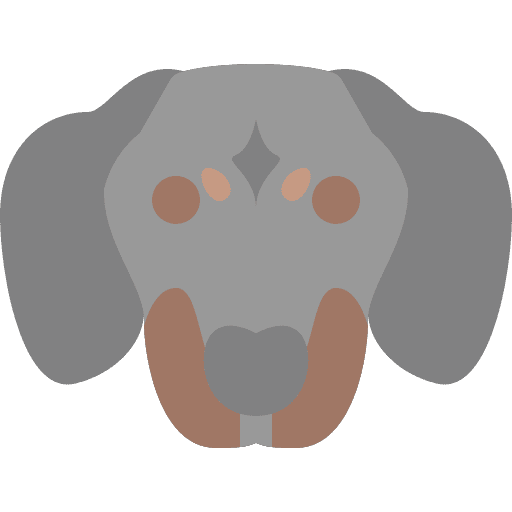 Dog mammals dog nose dog icon