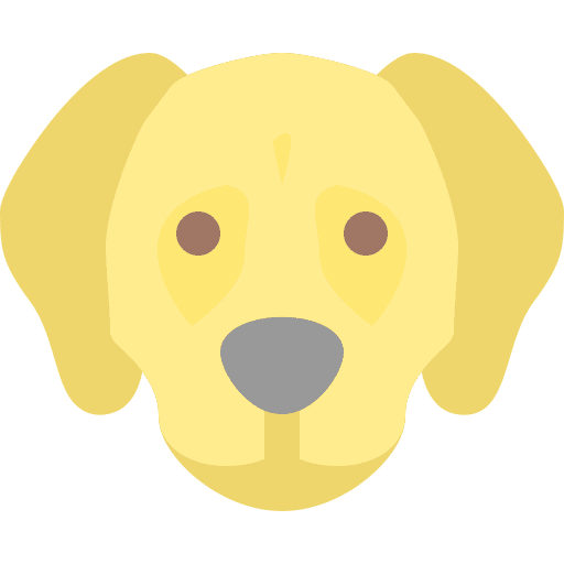 Dog pets dog labrador retriever icon