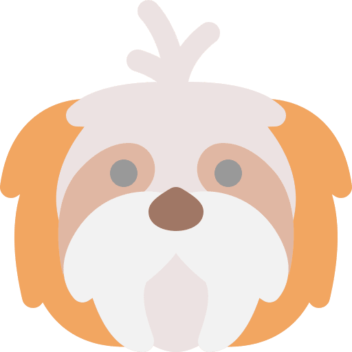 Dog pets mammals shih tzu icon