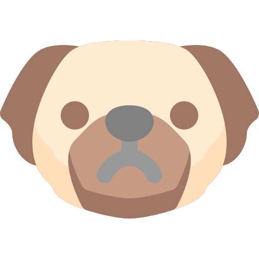 Dog pug pets dog icon