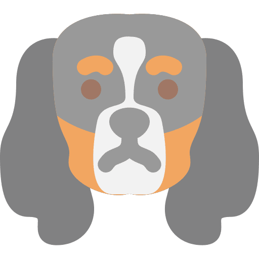 Dog dog nose animals cavalier king charles spaniel icon