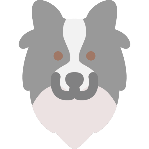 Dog dog nose dog pets icon