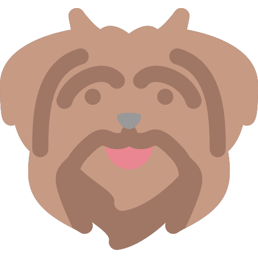 Dog dogs havanese bichon dog nose icon