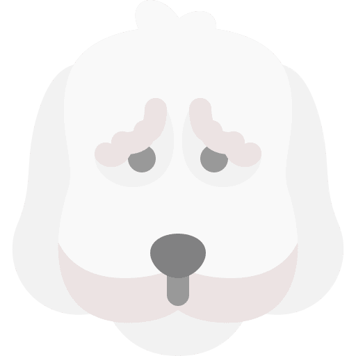 Dog pets animals dog icon