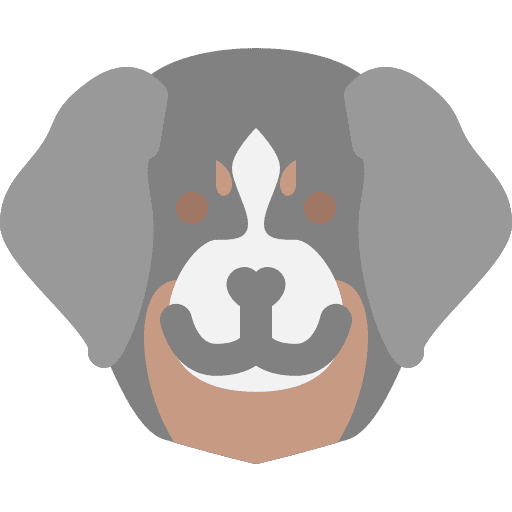 Dog pets mammals animals icon