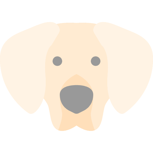 Dog animals dog pets icon