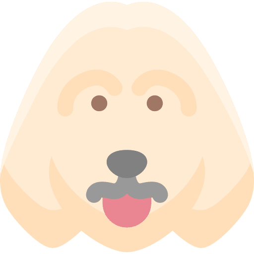 Dog dog nose dog pets icon