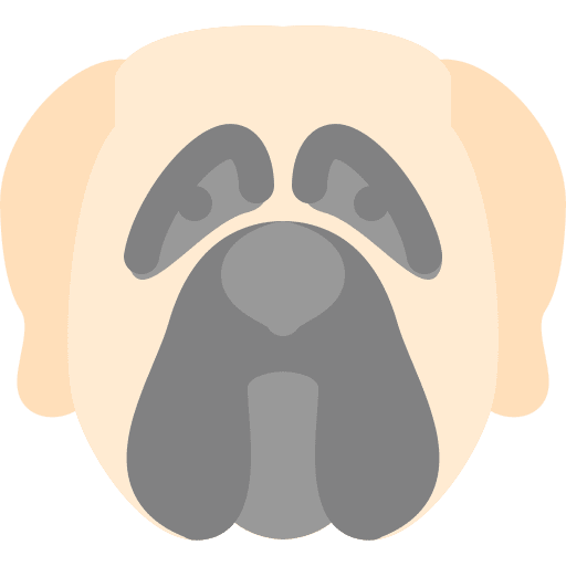 Dog pets mammals dog nose icon