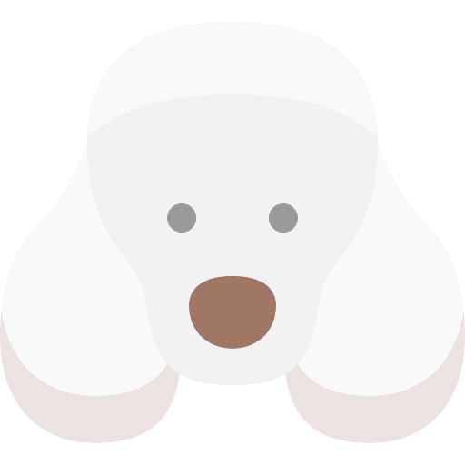 Dog poodle animals mammals icon