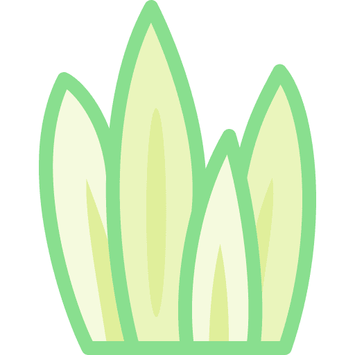 Grass plant grass soil icon