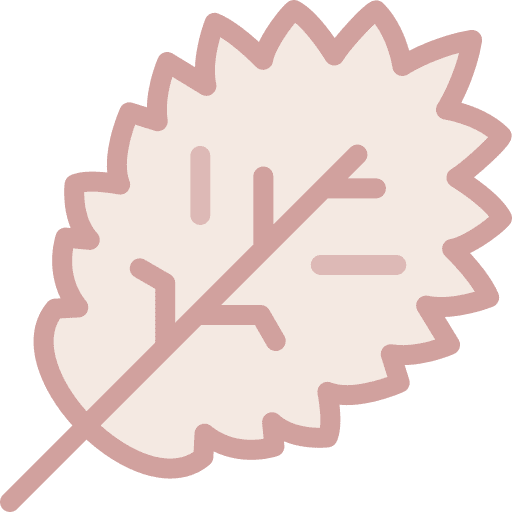 Leaf botanical plant leaf icon