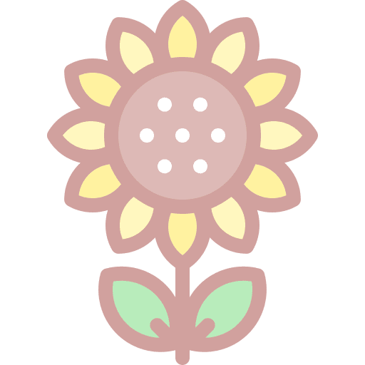 Sunflower petals blossom flower icon
