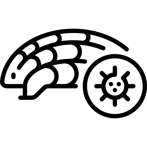 Pangolin contagious illness coronavirus pandemic icon