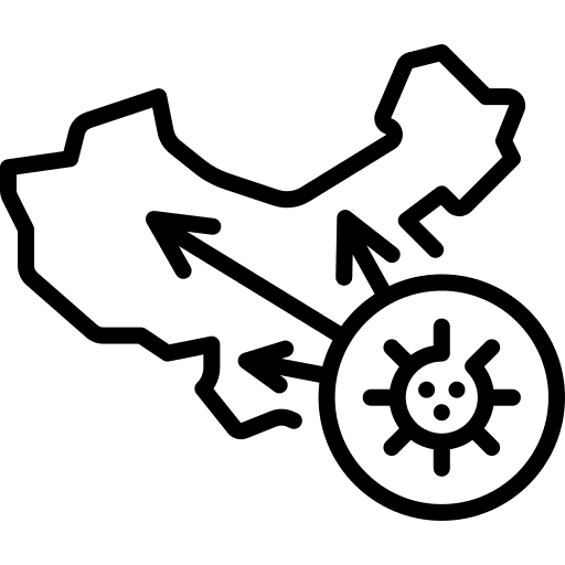 China covid covid 19 china icon