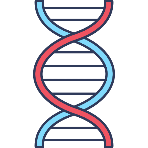 Dna dna dna structure biology icon