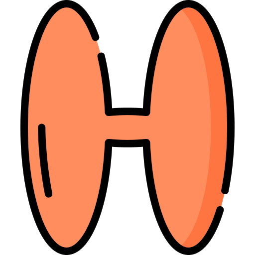 H shapes and symbols abecedary education icon