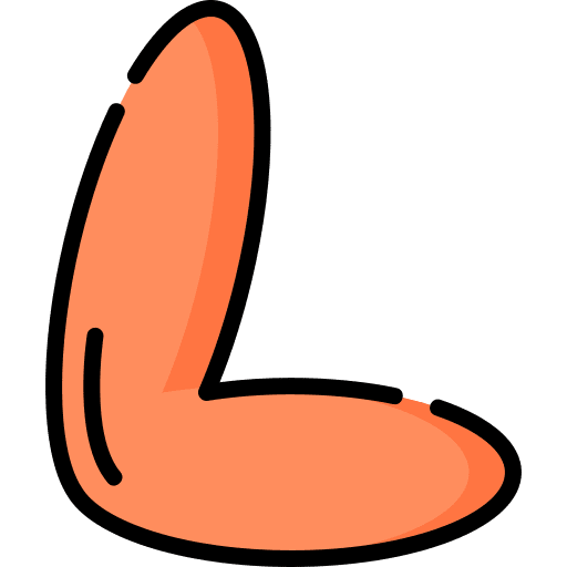 L abecedary consonant writing icon