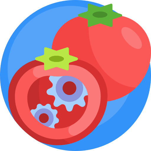 Gmo engeneering food and restaurant modification icon