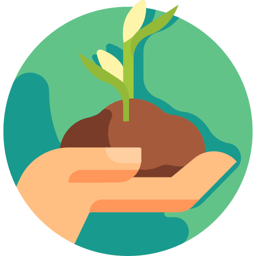 Seedling plant responsability nature icon