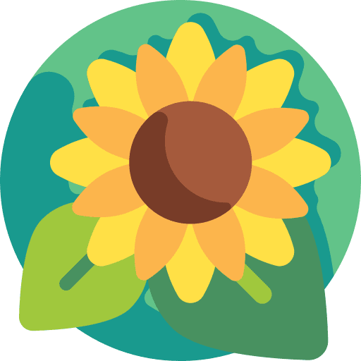 Sunflower flowers nature petals icon