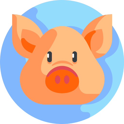 Pig pig animal kingdom mammal icon