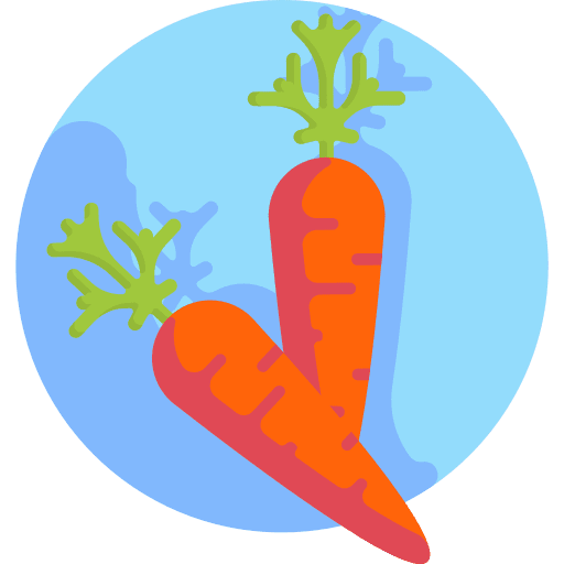 Carrot diet vegetable healthy food icon