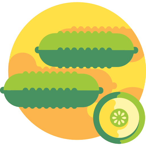 Cucumber cucumber vegetarian healthy icon