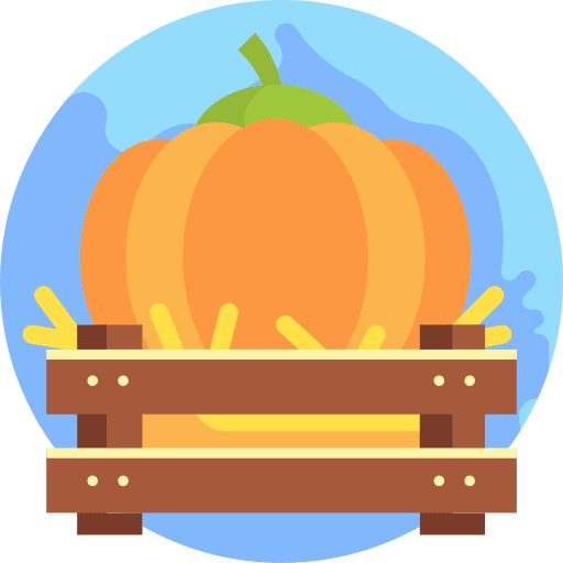 Pumpkin harvest vegetables box icon