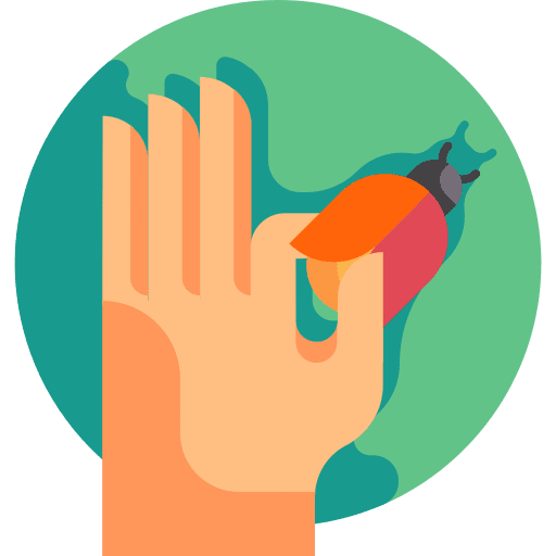 Bug animals bug hand icon