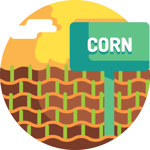 Corn food cereal field icon