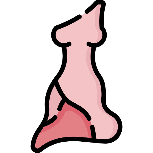 Dress dress elegant garment icon