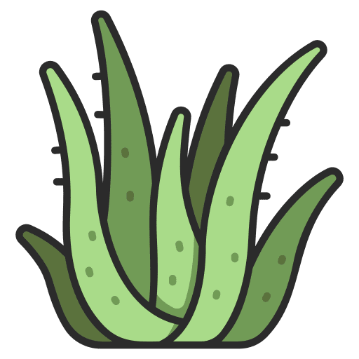 Aloe vera healthy herbal leaf icon