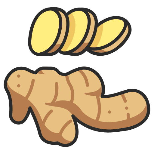 Ginger farming and gardening ginger herb icon