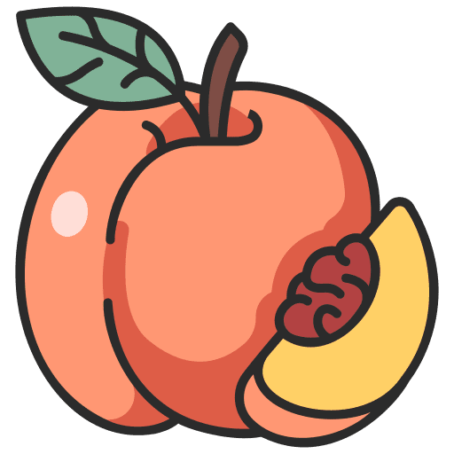 Peach vegan juicy fruit icon