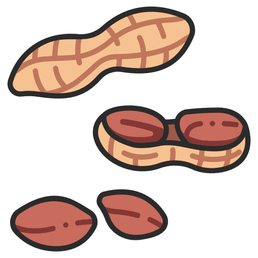 Peanut farming and gardening snack nut icon