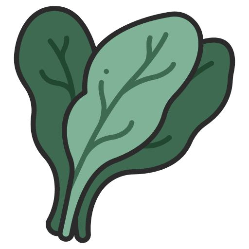 Spinach vegetable salad diet icon