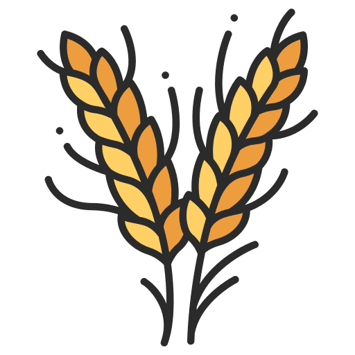 Wheat farming and gardening wheat food icon