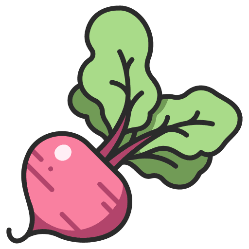 Beet ingredient beet vegetable icon