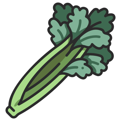 Celery celery farming and gardening vegetarian icon