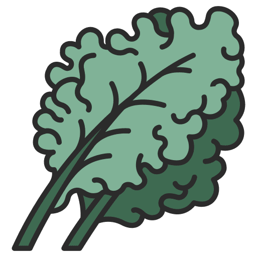 Kale healthy vegetable vegan icon