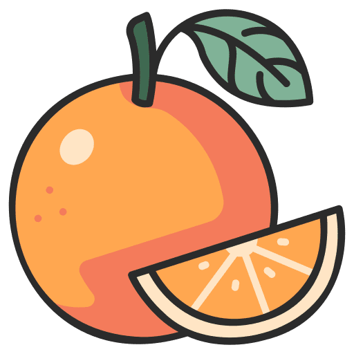 Orange vegan citrus orange icon