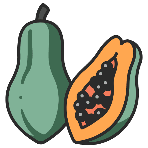 Papaya vegan slice farming and gardening icon