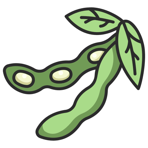 Soybean bean farming and gardening soybean icon