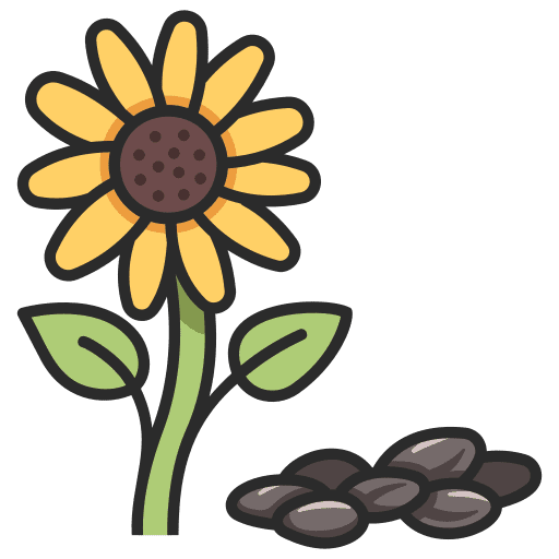 Sunflower organic snack seeds icon