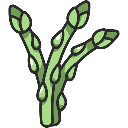 Asparagus food organic asparagus icon